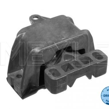 coxim do motor